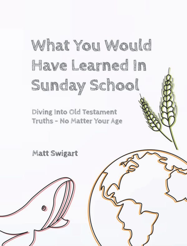 What You Would Have Learned in Sunday School book cover